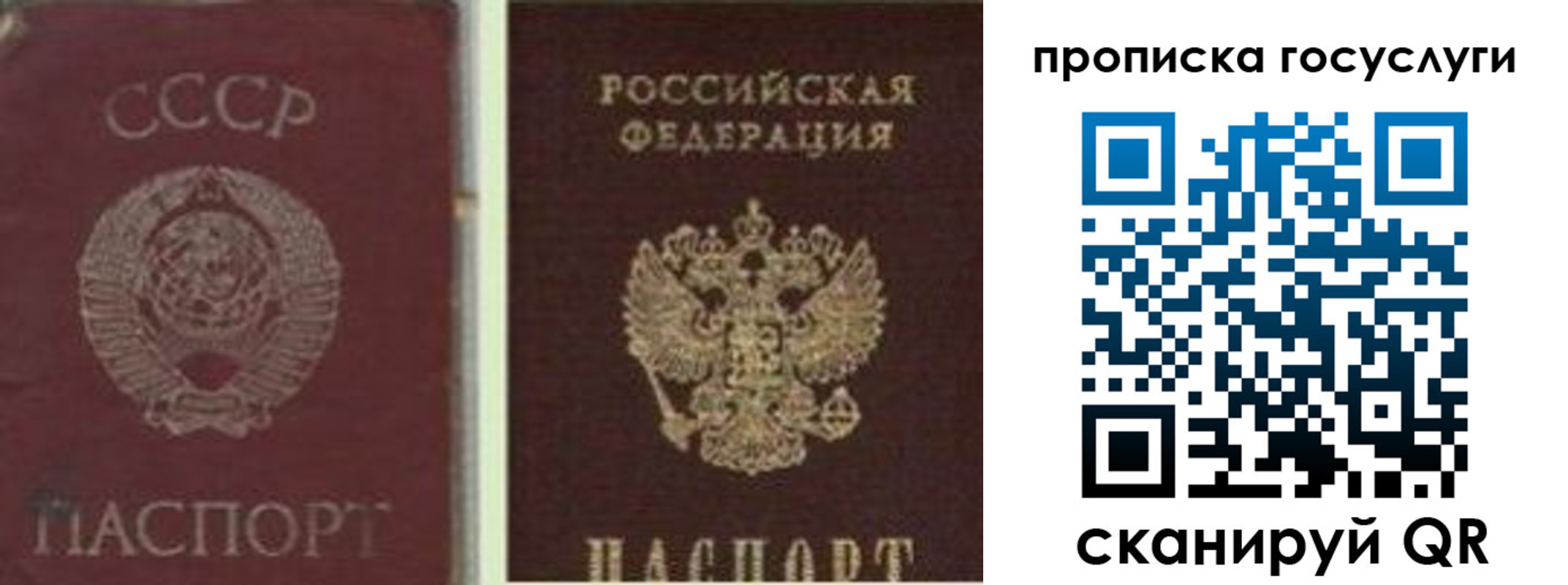 временная регистрация 2025 в Гусь-Хрустальном
